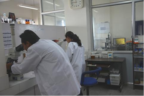 Lab
