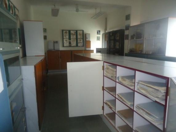 Lab